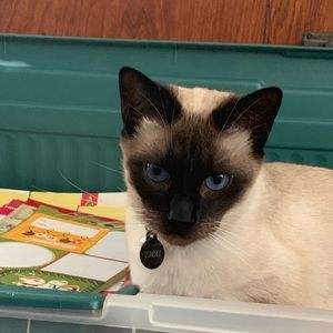 Meet your Posher, Heather